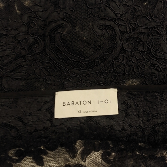 Babaton 1-01 Lace & Silk Tie Sheer Overtank● Size XS - Picture 6 of 9